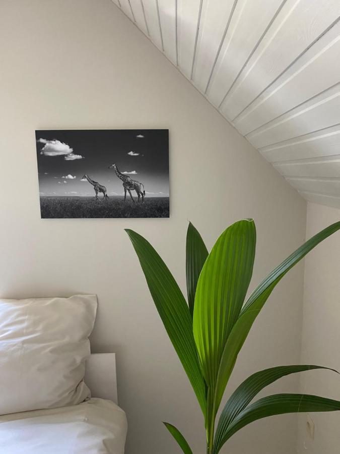 גנט B&B Maison Blanche מראה חיצוני תמונה